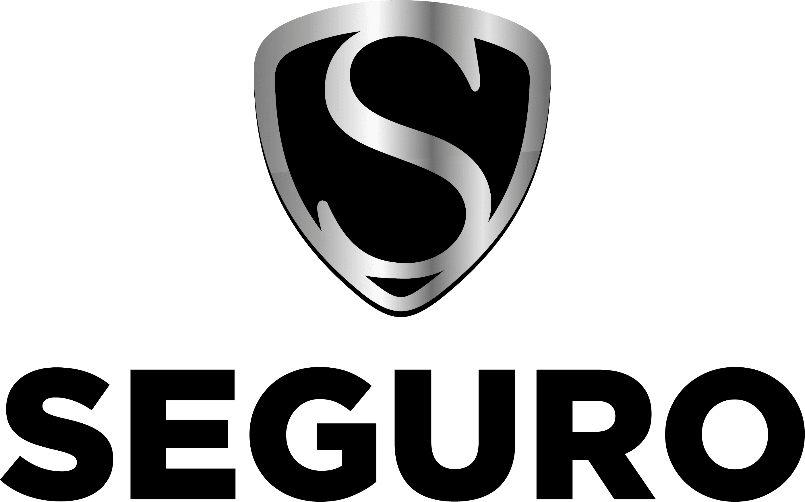 Seguro Segurança